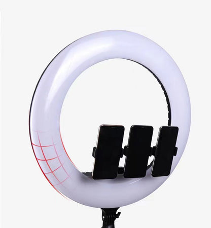 LED Soft Ring Light only ( 21N )